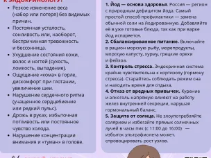 Щитовидная железа – регулятор здоровья и гармонии организма